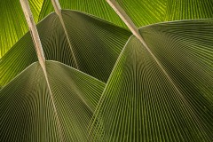 IMG_1091-Edit