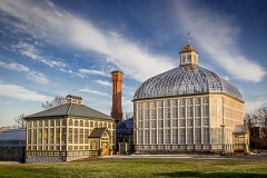 IMG_6139